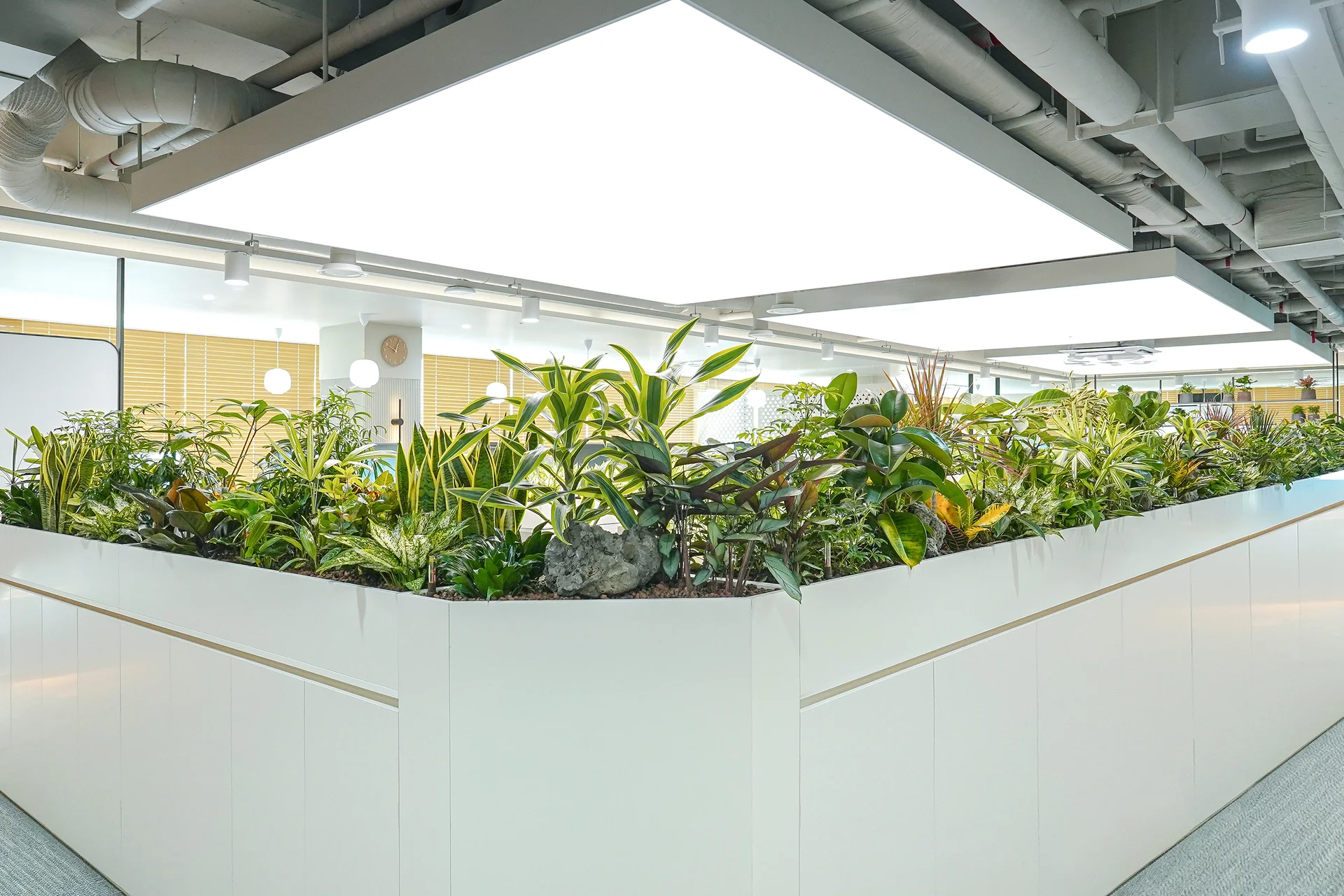 관엽식물을 활용해 시각적 피로를 줄이는 병풍정원의 모습이다.