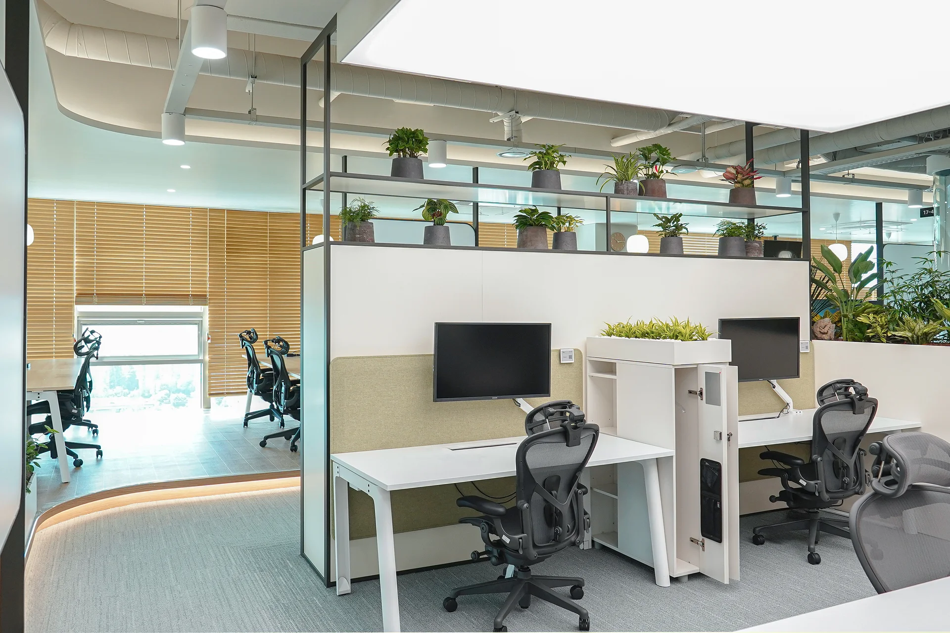 눈높이에 맞는 관엽식물로 연출한 캐비닛정원이 배치되어 있는 오피스이다