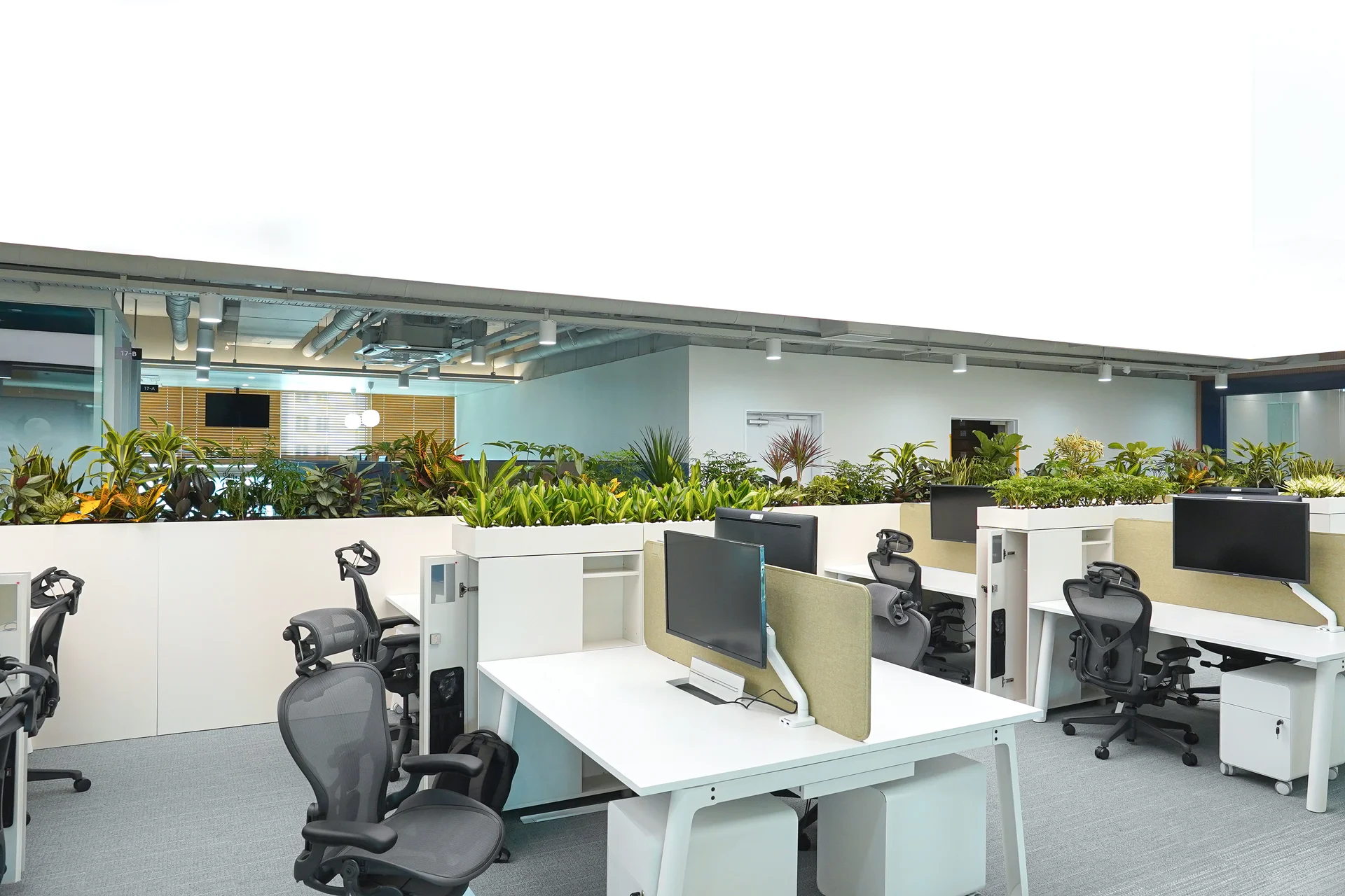 관엽식물을 활용하여 연출한 오피스 인테리어 디자인으로 미적 개선은 물론 직원 복지를 실현했다