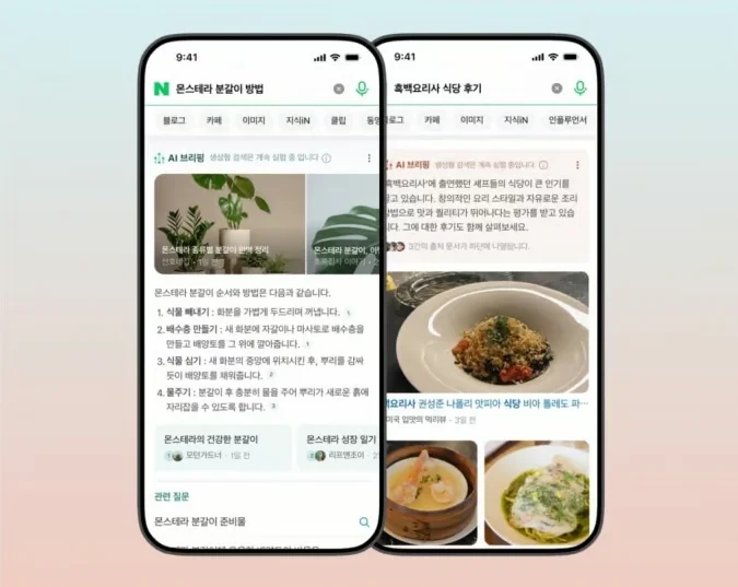 네이버 AI 브리핑