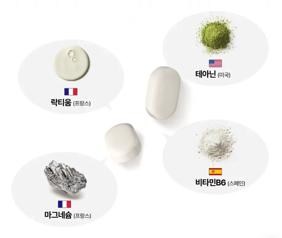 락티움 테아닌 마그네슘