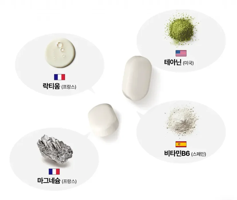 락티움 테아닌 마그네슘