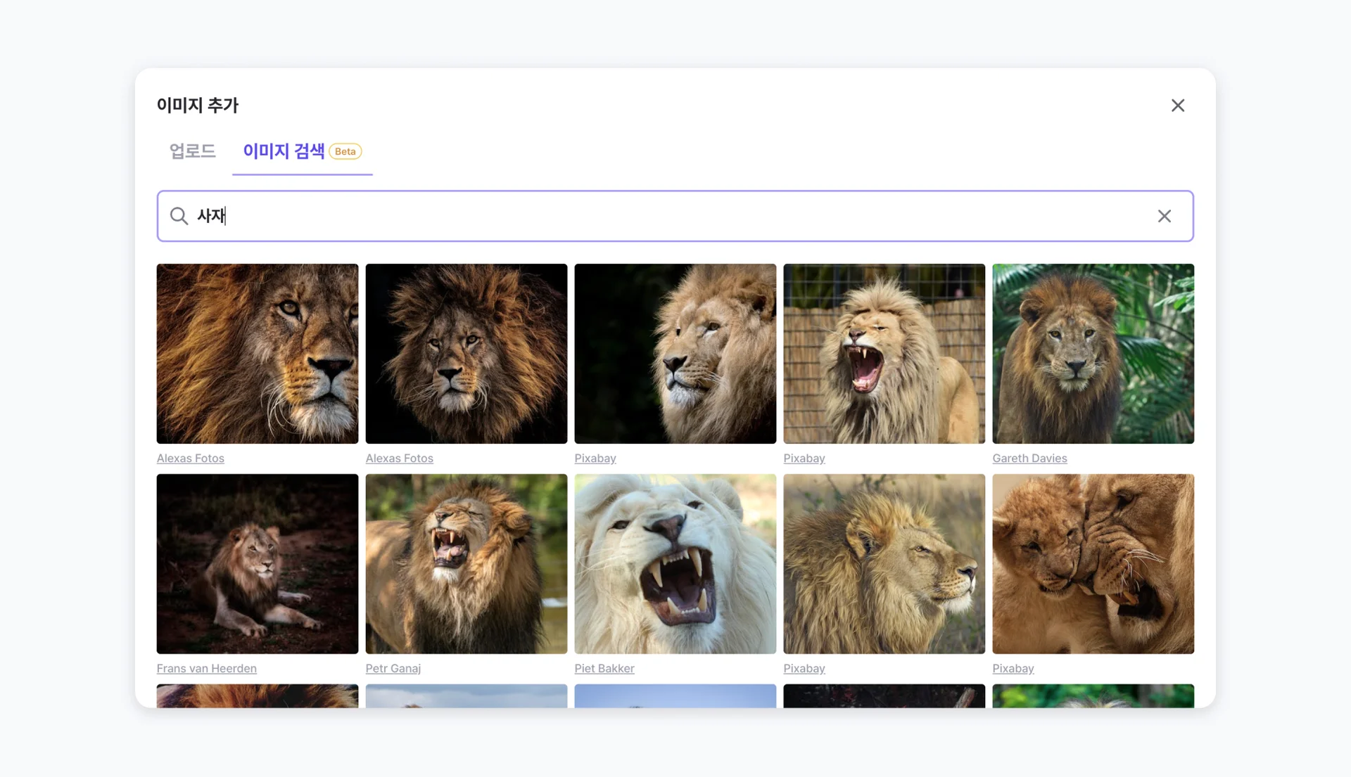 젭 퀴즈 이미지 검색 추가 방법