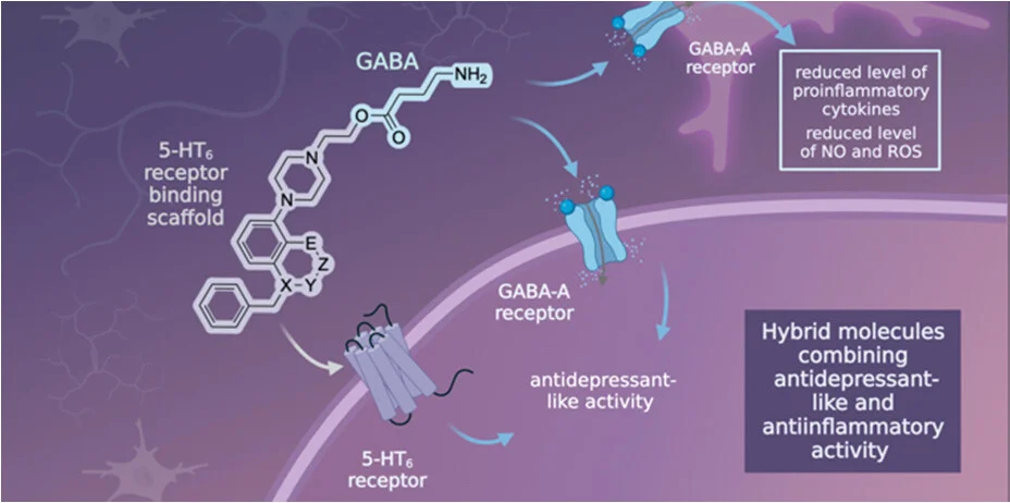가바 신경전달물질 작용 메커니즘 도식 | 녹트리서치 