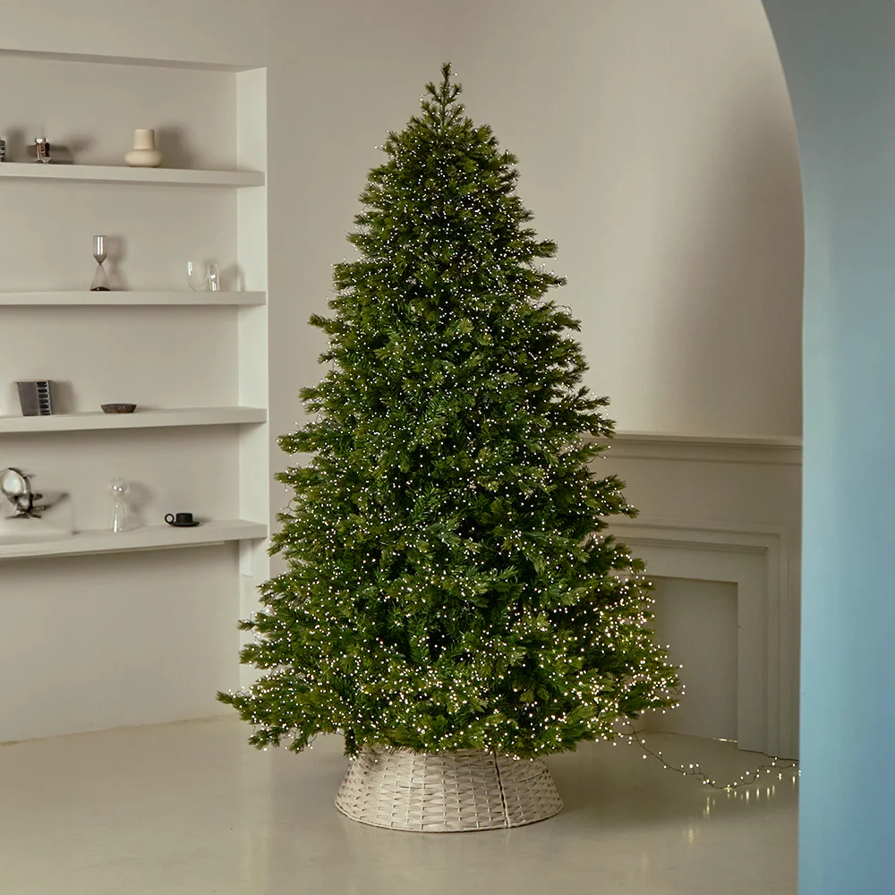 크리스마스 트리 고르는 방법 