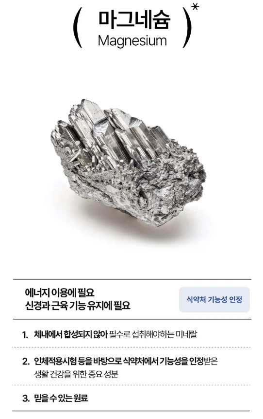 마그네슘 효과 녹트리서치