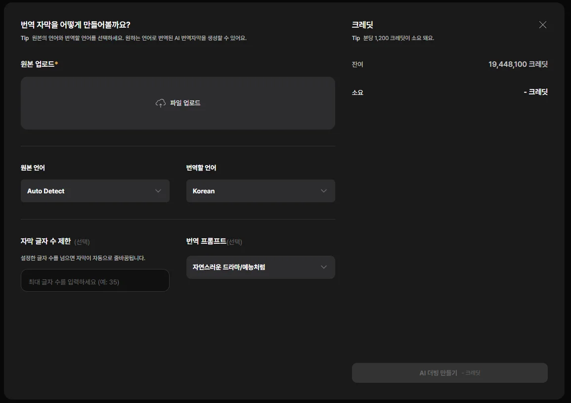 번역 자막 생성 옵션