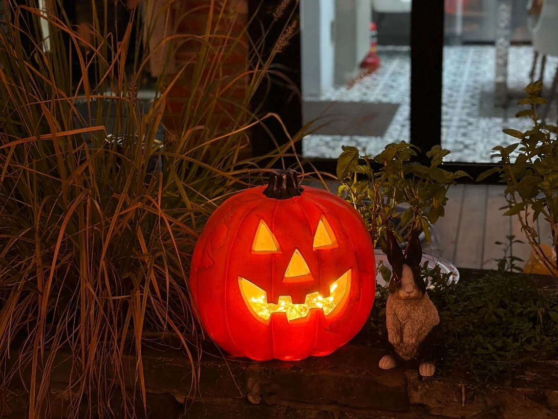 루프탑 파티 현장을 밝혀주는 호박 조명이 분위기를 잡아주네요.