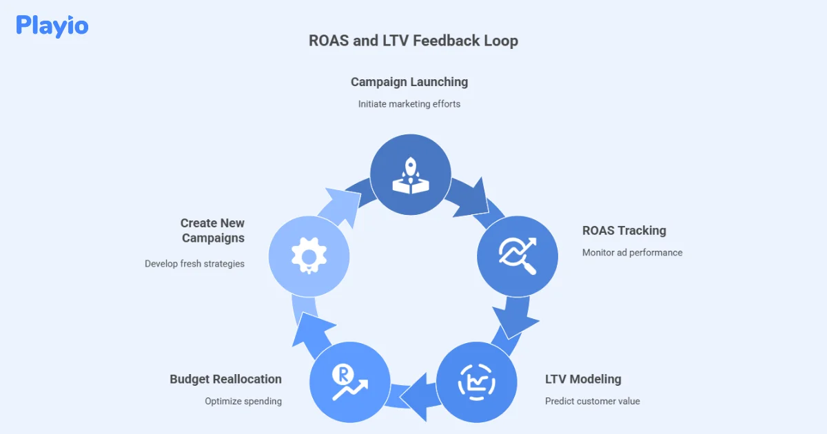 ROAS and LTV Feedback Loop