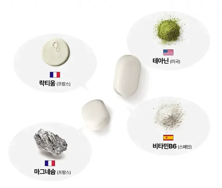 테아닌 불면증 수면 성분