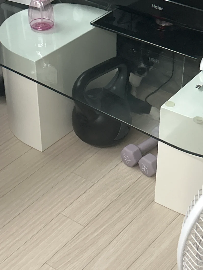 호수가 처음 오던 날, 공포에 질린 호수