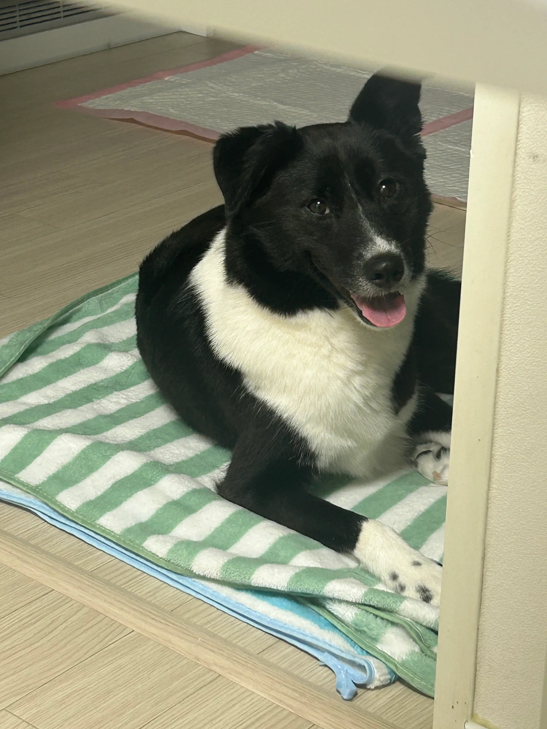 화식 덕에 윤기도 반지르르해지고 친밀도가 높아진 호수