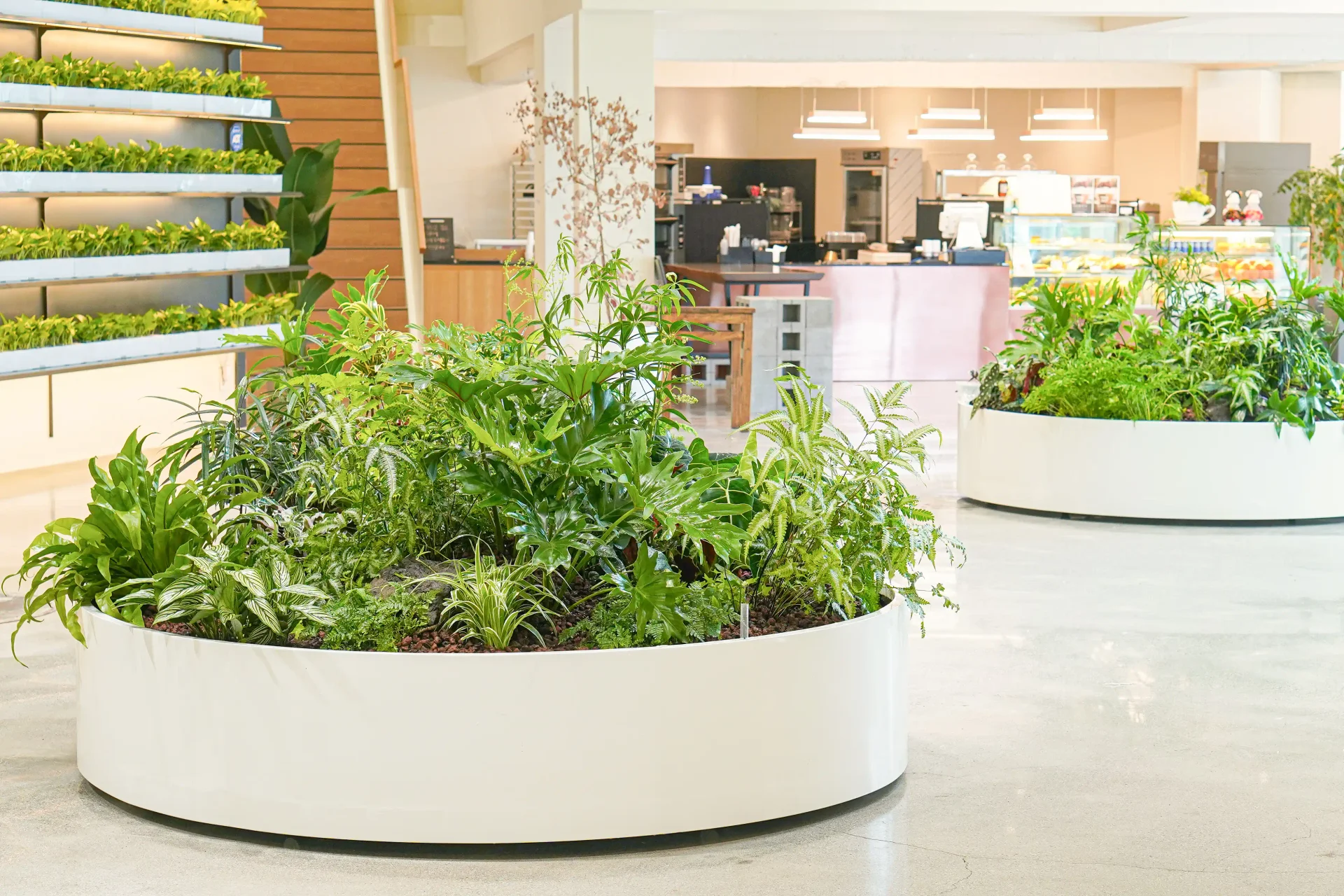 에코피플 플랜테리어 설치 이후 결과