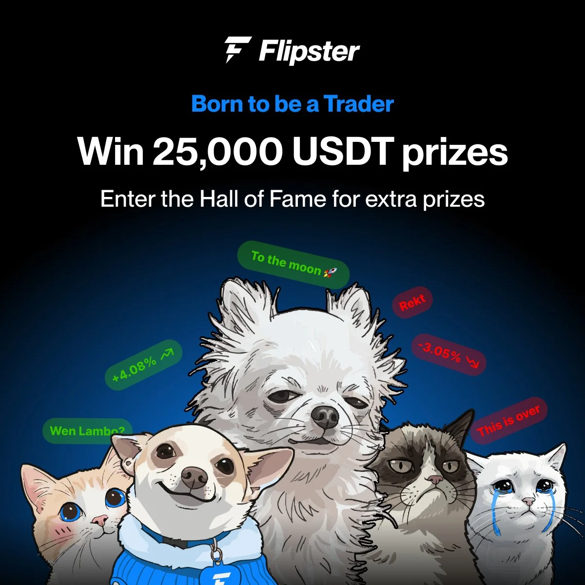 Flipster 플립스터 Born to be a Trader