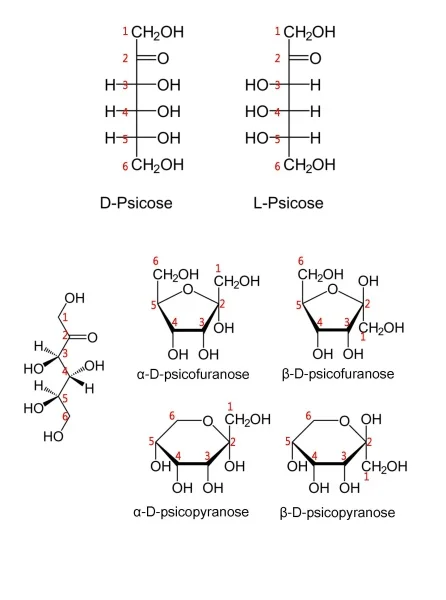 특허검색 도면보기