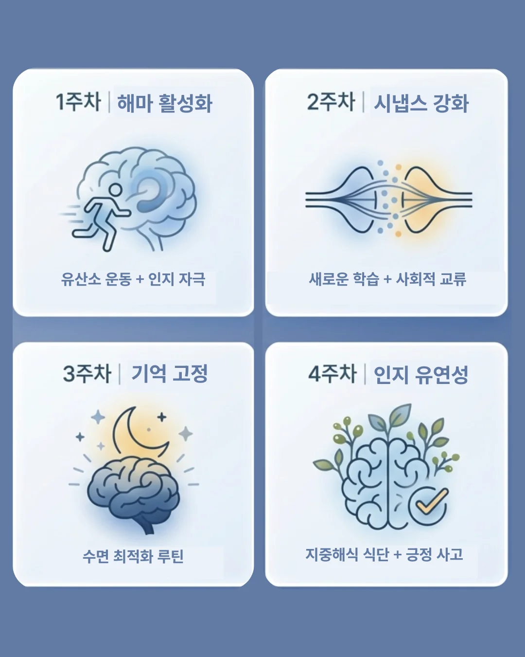 50대 기억력 회복을 위한 4주 인지 습관 루틴 인포그래픽. 1주차 해마 활성화(유산소 운동), 2주차 시냅스 강화(새로운 학습), 3주차 기억 고정(수면 최적화), 4주차 인지 유연성(지중해식 식단) 단계별 요약