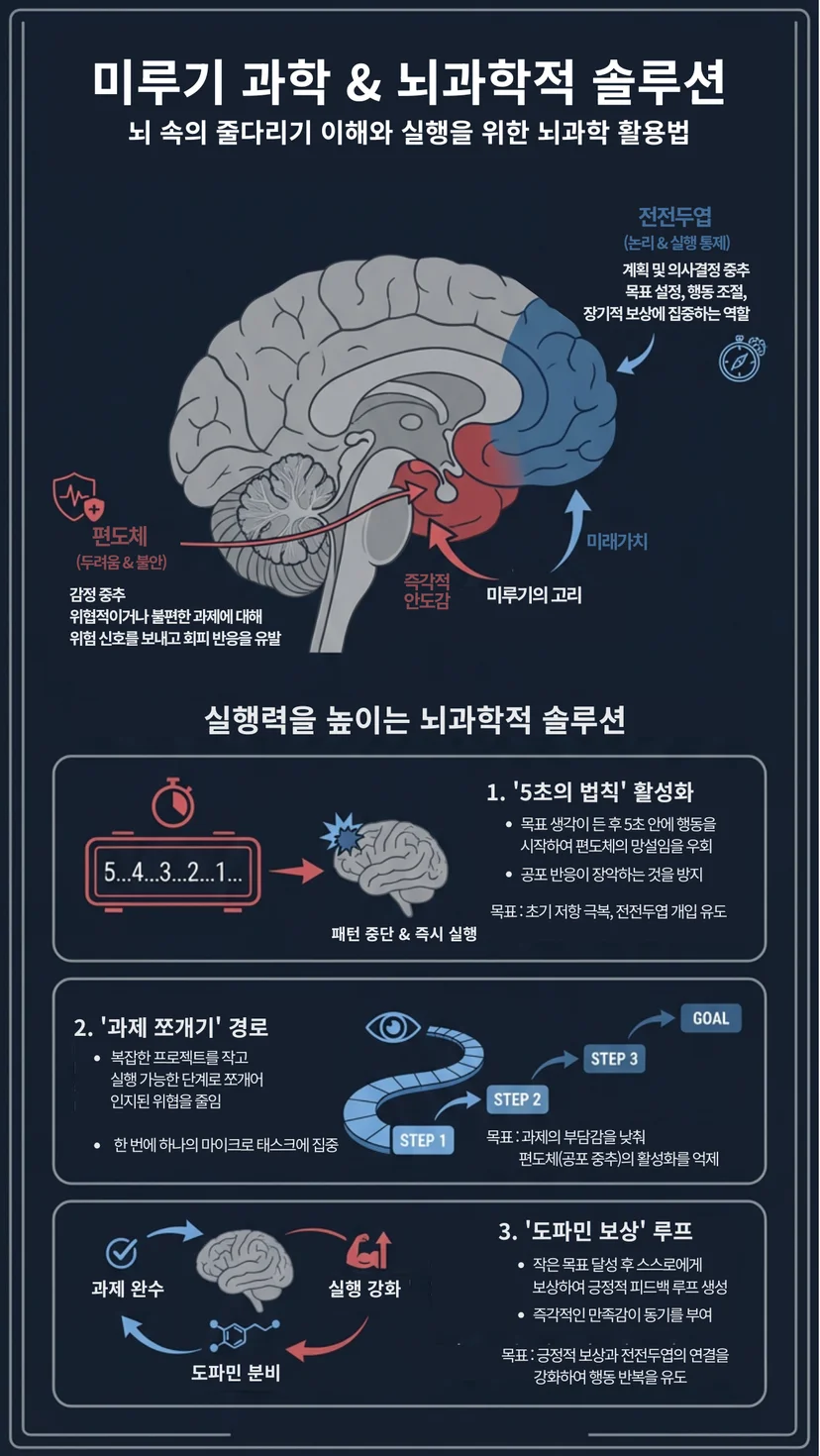 미루기의 뇌과학적 원인과 해결책을 설명하는 HBR 스타일 인포그래픽. 편도체(감정 뇌)와 전전두엽(이성 뇌)의 갈등 구조 도해. 멜 로빈스의 5초의 법칙, 과제 쪼개기, 도파민 보상 루프 등 3가지 실행력 강화 솔루션 포함