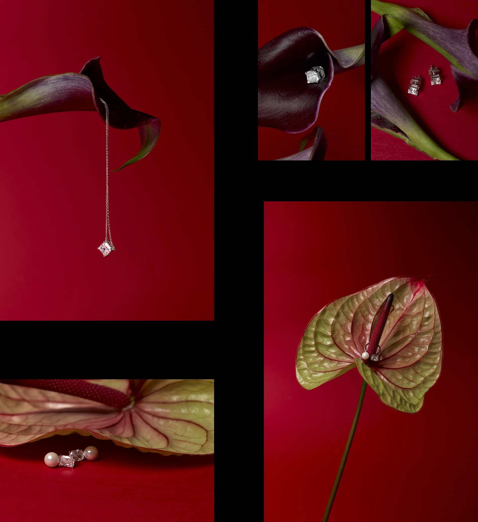 젠시-스튜디오의-일관된-퀄리티-이미지