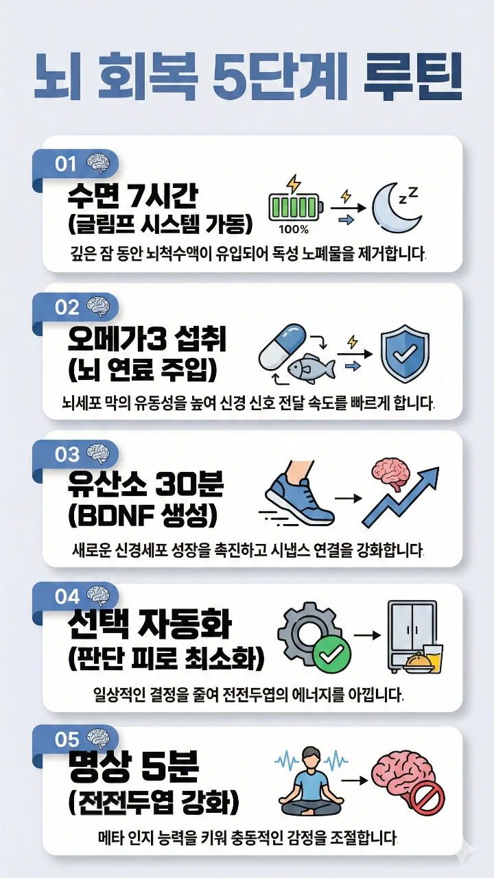 뇌 기능을 회복하고 브레인 포그를 없애는 5가지 신경가소성 루틴 인포그래픽. 전전두엽을 충전하는 과학적 해결책 요약. 01. 수면 7시간(뇌 청소), 02. 식단 오메가3(뇌 연료 공급), 03. 운동 유산소 30분(BDNF 생성), 04. 정보 조절 및 선택 자동화(결정 피로 감소), 05. 명상 5분(메타인지 강화). 뇌과학 기반의 생활 습관 교정 가이드