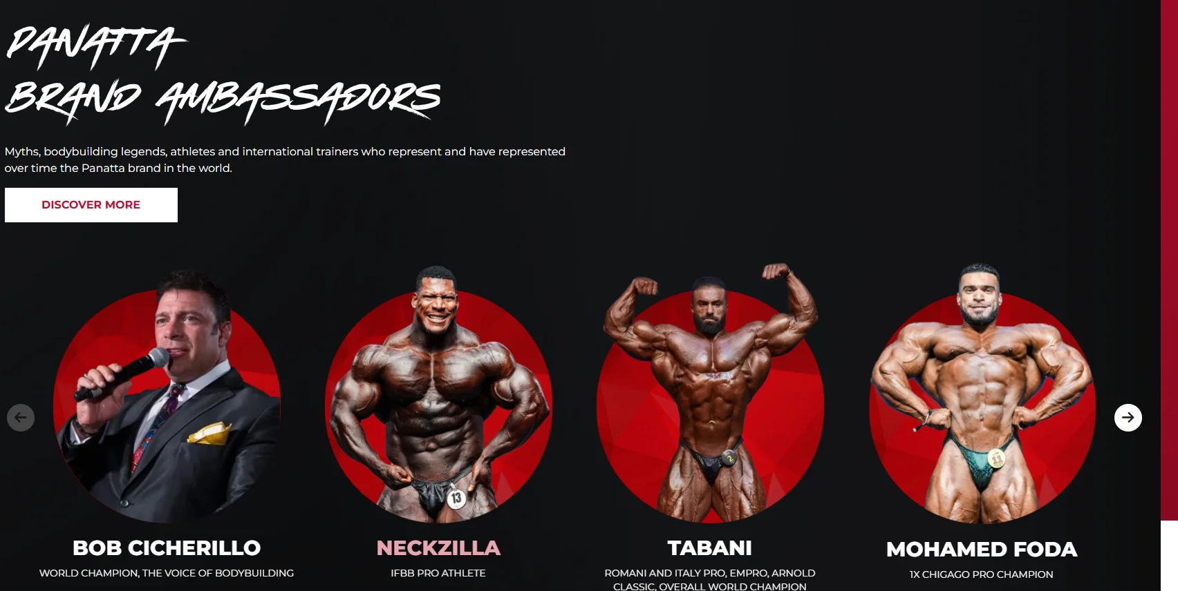 이탈리아 프리미엄 머신 브랜드 파나타(Panatta)를 보디빌딩 관점에서 분석합니다. 저항 곡선 설계, Free Weight Special·Pure Kraft 라인 특징, 커스터마이징과 체육관 인테리어 시너지까지 한 번에 정리.