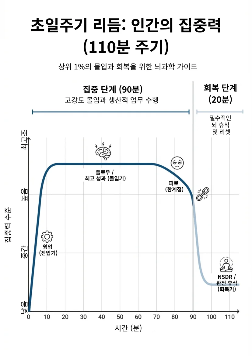 90분 초일주기 리듬(Ultradian Rhythm)에 따른 인간 집중력 변화 그래프 시각화 자료. 10분의 웜업(진입기), 70분까지의 플로우 최고 성과(몰입기), 90분 시점의 급격한 피로(한계점), 이후 20분간의 NSDR 완전 휴식(회복기) 단계를 보여줌