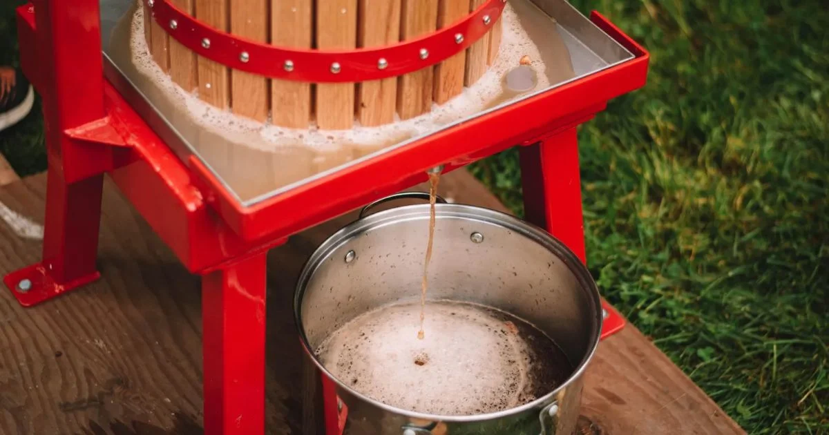 사과로 만드는 술 애플사이더