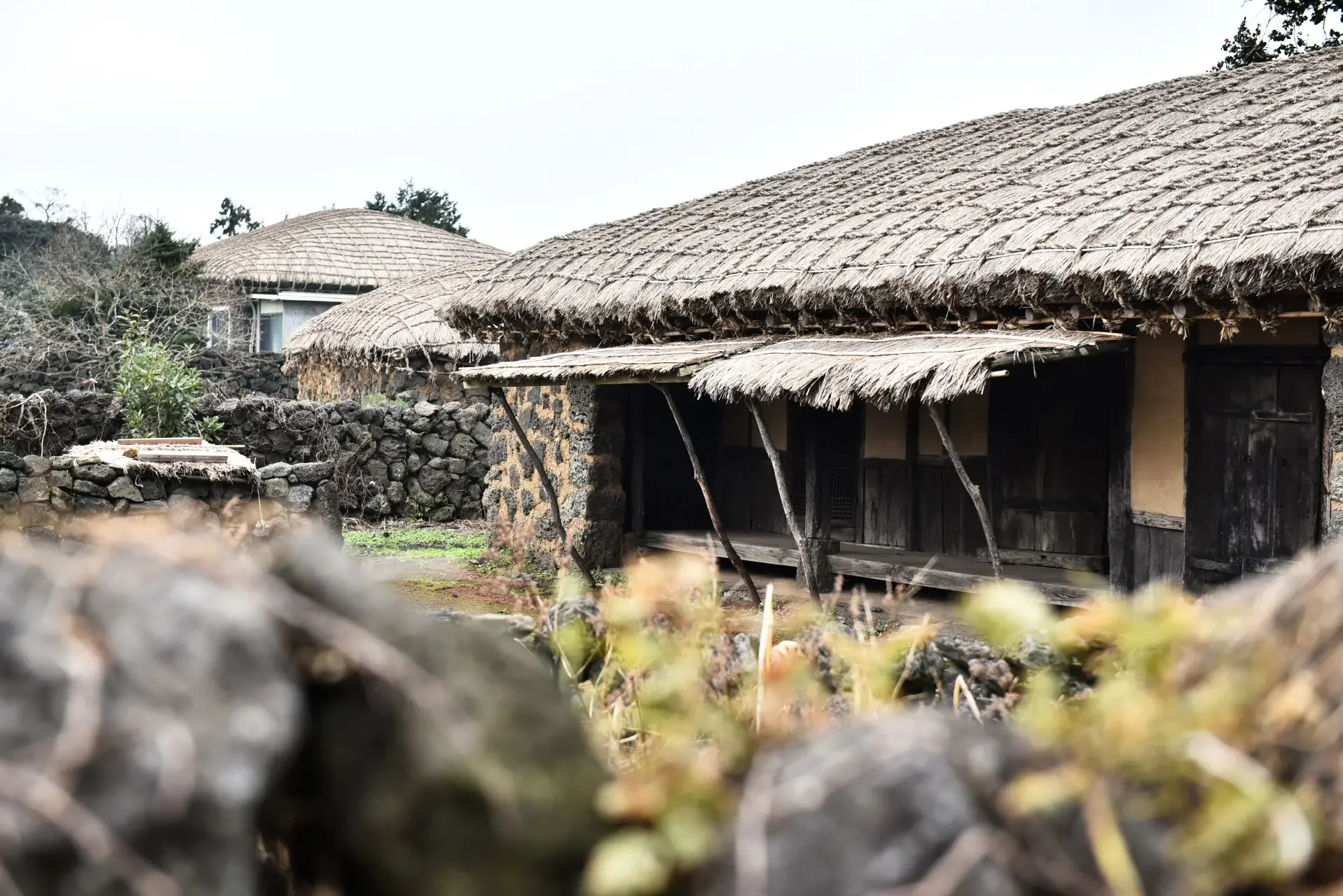 Traditional thatched-roof houses at Seongeup Folk Village in Jeju Island, South Korea, showcasing historic architecture and cultural heritage for family-friendly travel experiences.