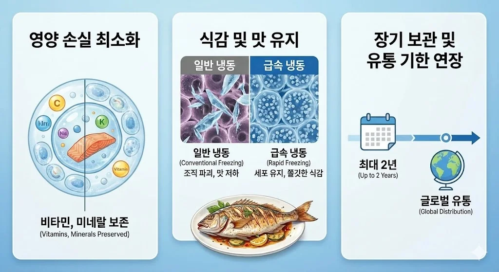 수산물 영양 손실을 최소화하고 식감과 맛을 유지하며 장기 보관을 가능하게 하는 급속 냉동의 3가지 핵심 이점 인포그래픽