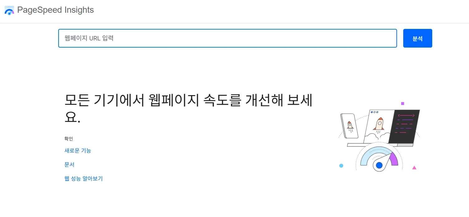 PageSpeed Insights 메인 화면