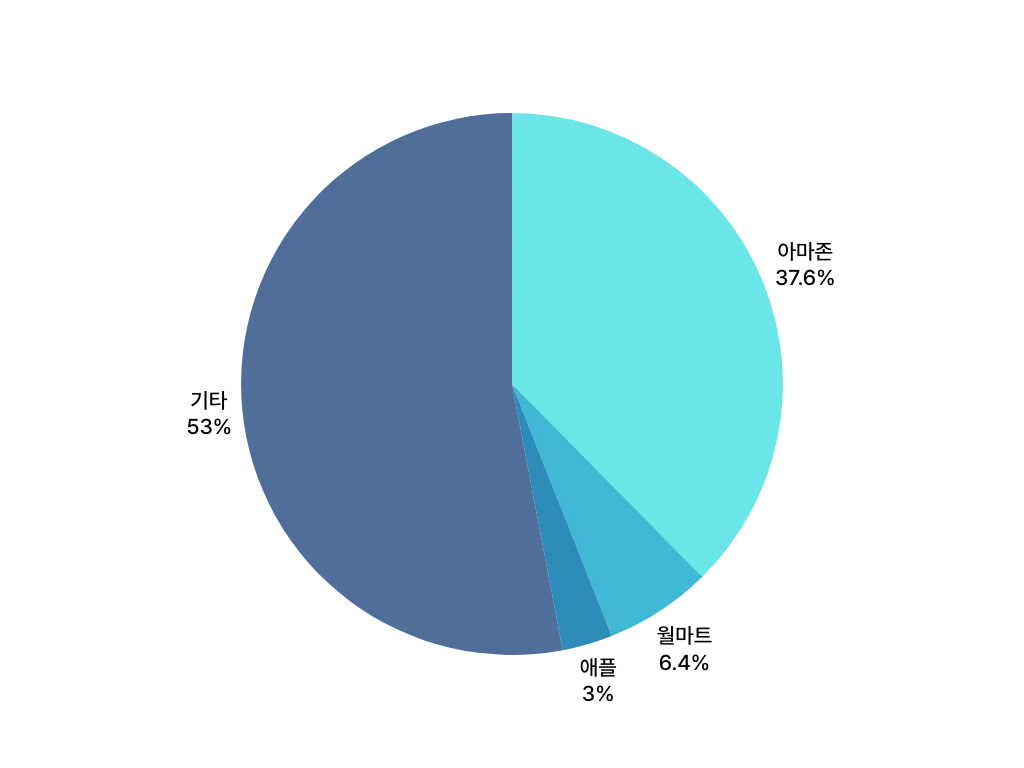 미국 이커머스 플랫폼_시장 점유율 | 출처 exporteers