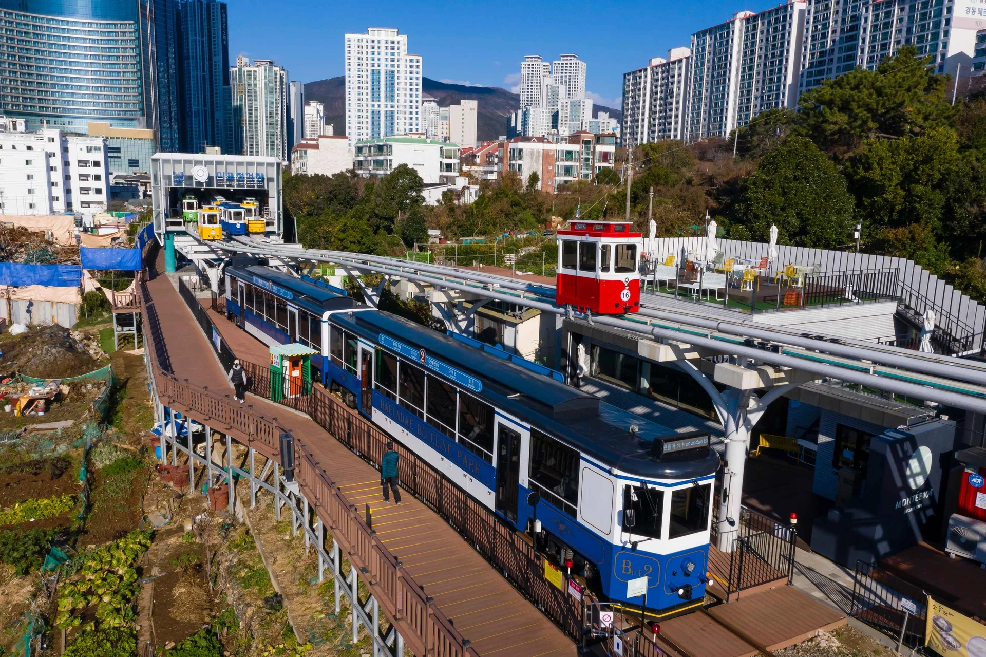  A high-angle landscape shot of the Haeundae Blueline Park in Busan during a bright, sunny day. In the foreground, a blue and white Beach Train sits on the tracks alongside a wooden pedestrian boardwalk where a person is walking. Above the train, a small red Sky Capsule travels on an elevated rail system.  In the mid-ground, a white station building houses several colorful Sky Capsules (yellow, blue, and green) ready for departure. The background is a dense urban landscape featuring a mix of modern glass skyscrapers, white residential apartment complexes, and a green, tree-covered hillside under a clear blue sky. The scene perfectly captures the blend of coastal tourism and urban infrastructure.