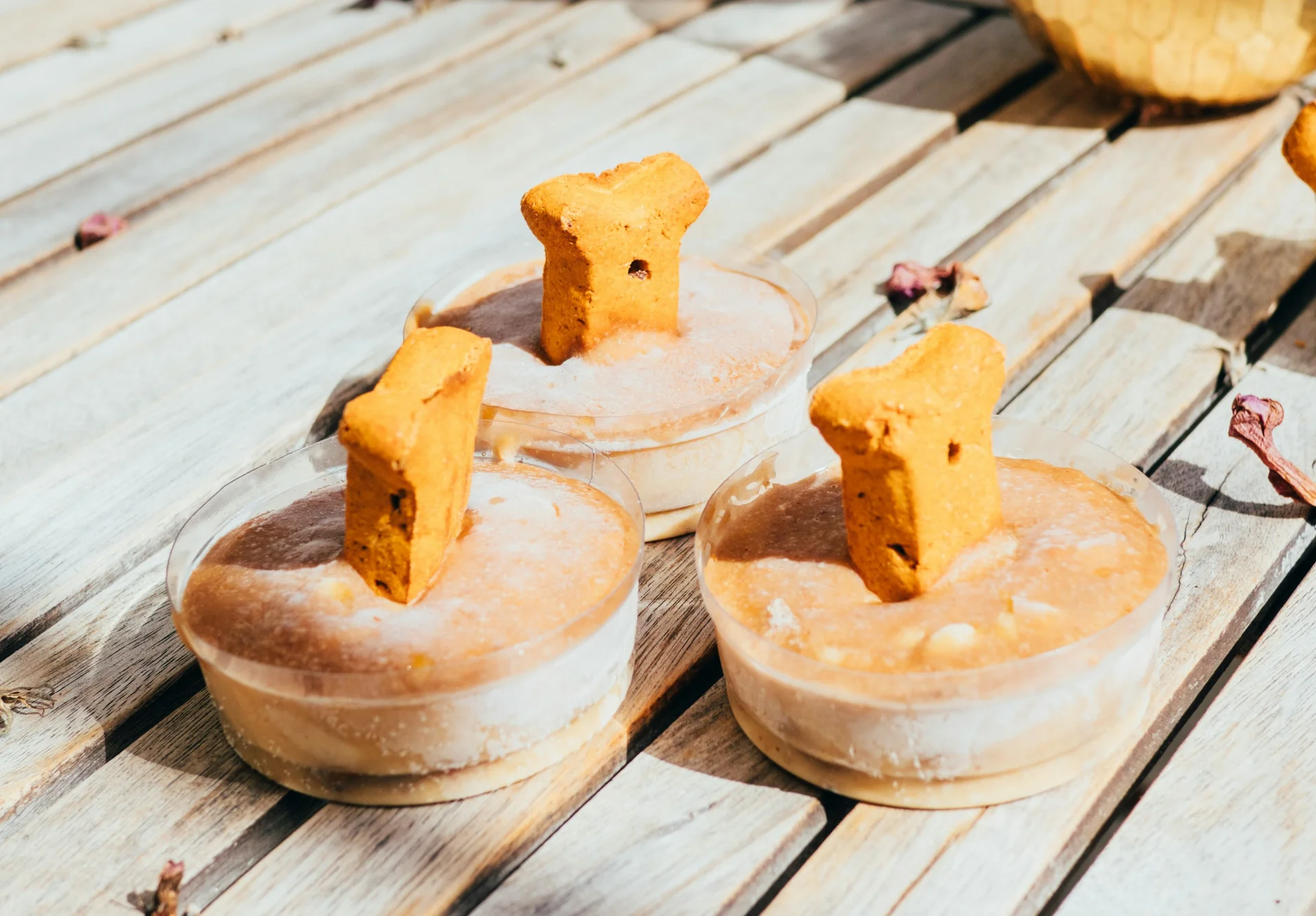 컵 용기에 담긴 펫 푸드와 간식 형태의 제품 모습