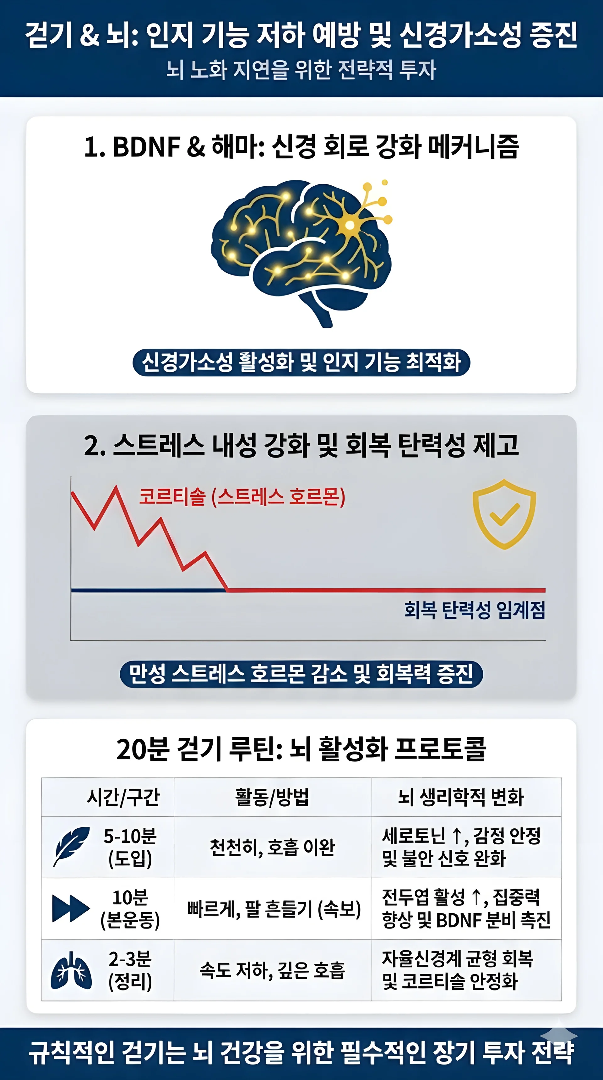 걷기 운동이 뇌의 신경가소성과 해마(Hippocampus) 기능을 강화하여 치매를 예방하는 원리(BDNF 분비)와, 스트레스 호르몬 코르티솔(Cortisol) 수치를 낮춰 회복 탄력성을 높이는 과정을 시각화한 데이터 차트. 뇌 활성화를 위한 20분 걷기 루틴(세로토닌-전두엽 활성-안정화) 프로토콜 포함