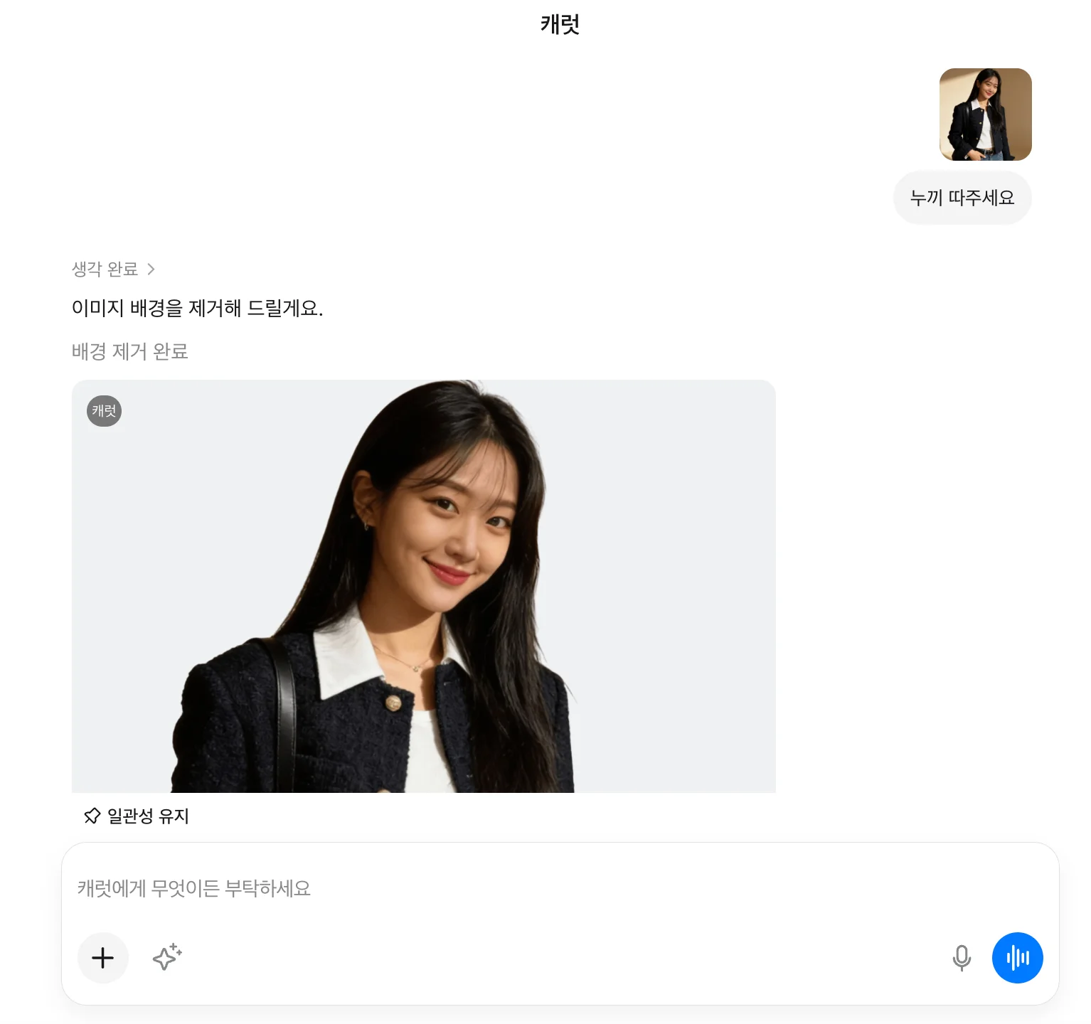캐럿에서 배경 제거 작업을 실행하는 인터페이스 이미지.