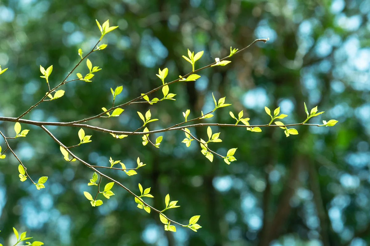 암요양병원 찾기 | 힐링오아시스