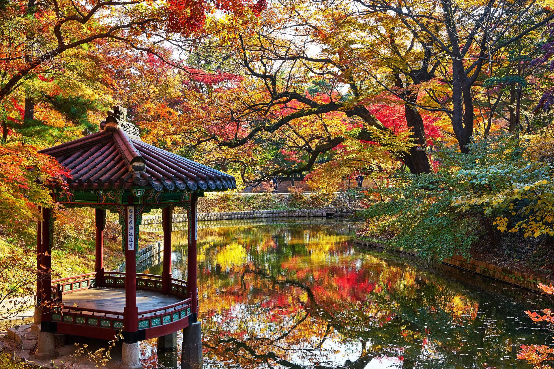 Autumn scenery of Gwanramjeong Pavilion and Gwanramji Pond in the Secret Garden (Huwon) of Changdeokgung Palace, Seoul. Traditional Korean fan-shaped pavilion surrounded by vibrant red autumn foliage reflecting on the water.