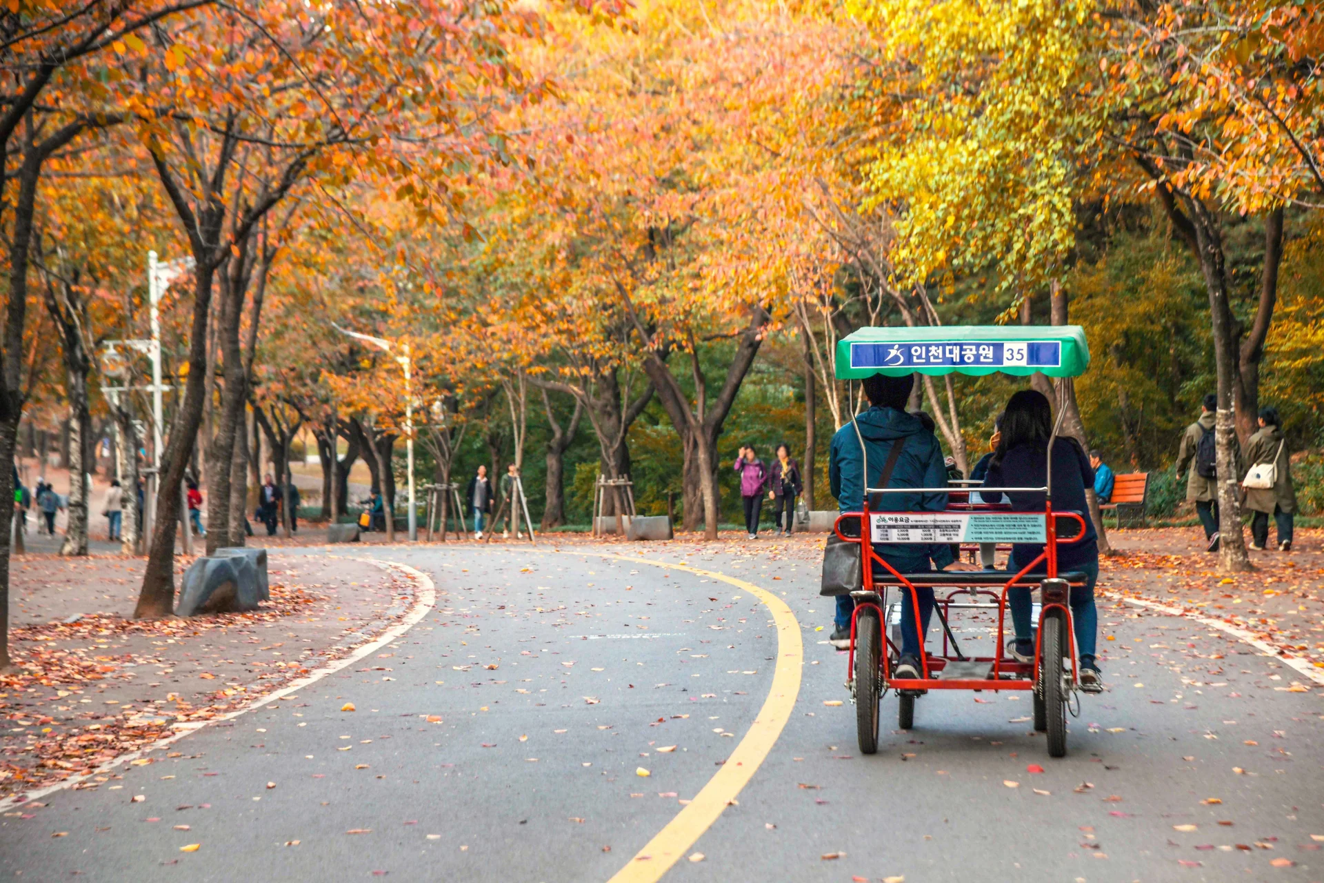 A couple riding a red four-wheel surrey bike along a winding path lined with vibrant orange and yellow autumn maple trees at Incheon Grand Park, South Korea. The ground is covered in fallen leaves, capturing a popular fall foliage travel destination in Gyeonggi-do.
