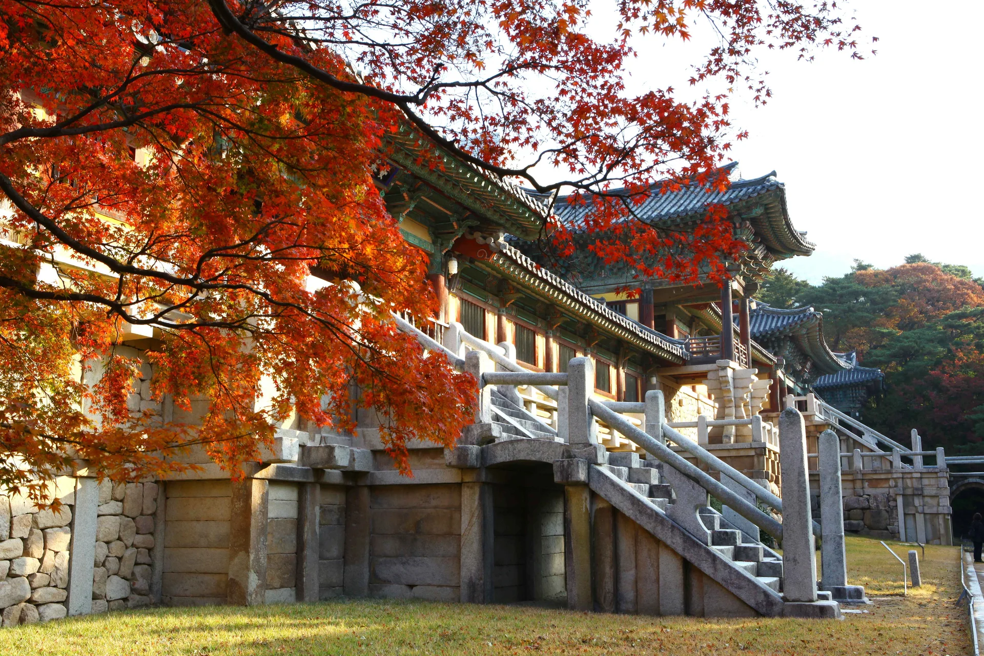 Bulguksa Temple in Gyeongju, South Korea, surrounded by vibrant red autumn maple leaves, showcasing traditional Korean architecture and cultural heritage during fall.