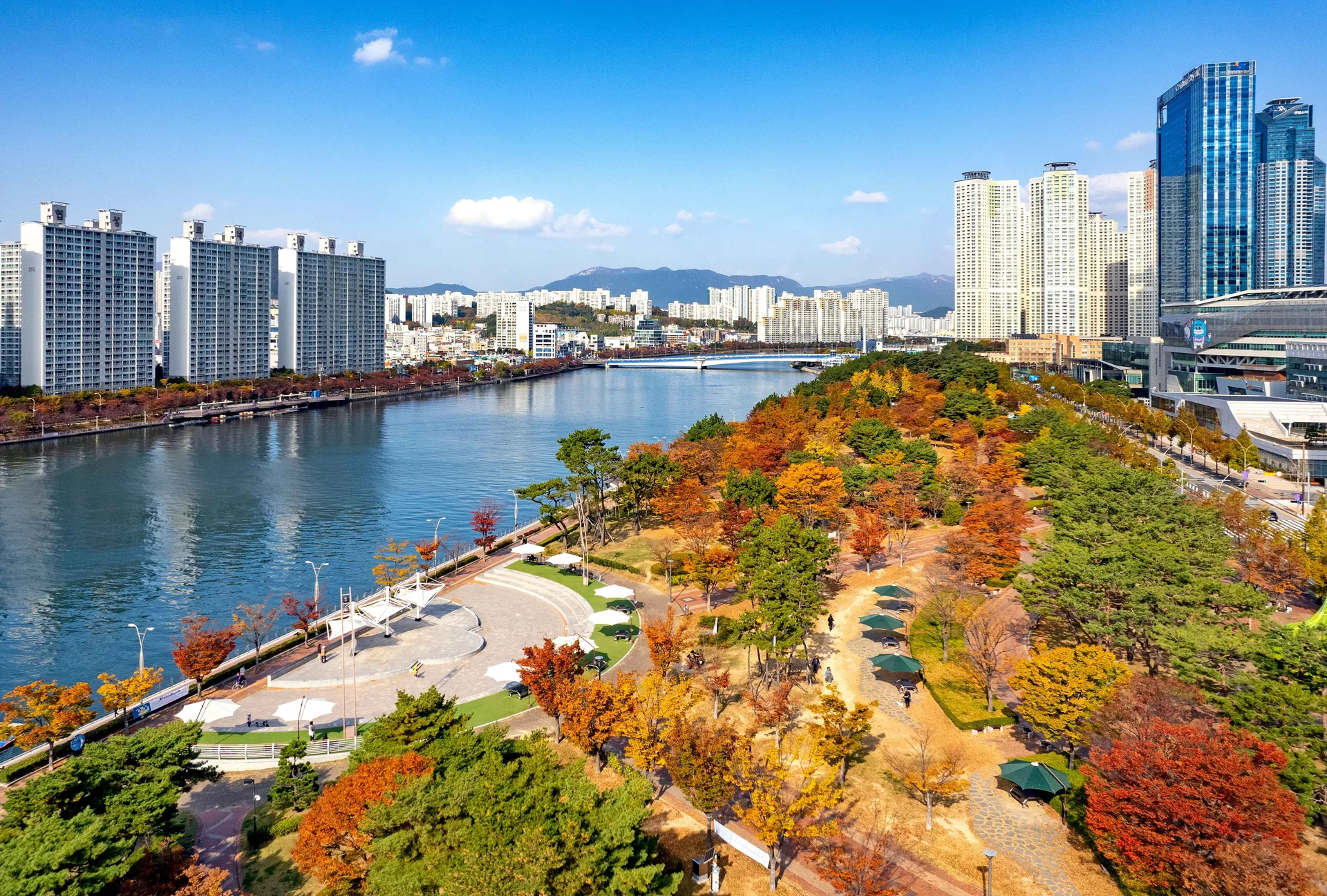 Aerial view of Naru Park along the riverside in Busan, South Korea, lined with vibrant autumn trees and surrounded by modern city skyscrapers under blue sky.