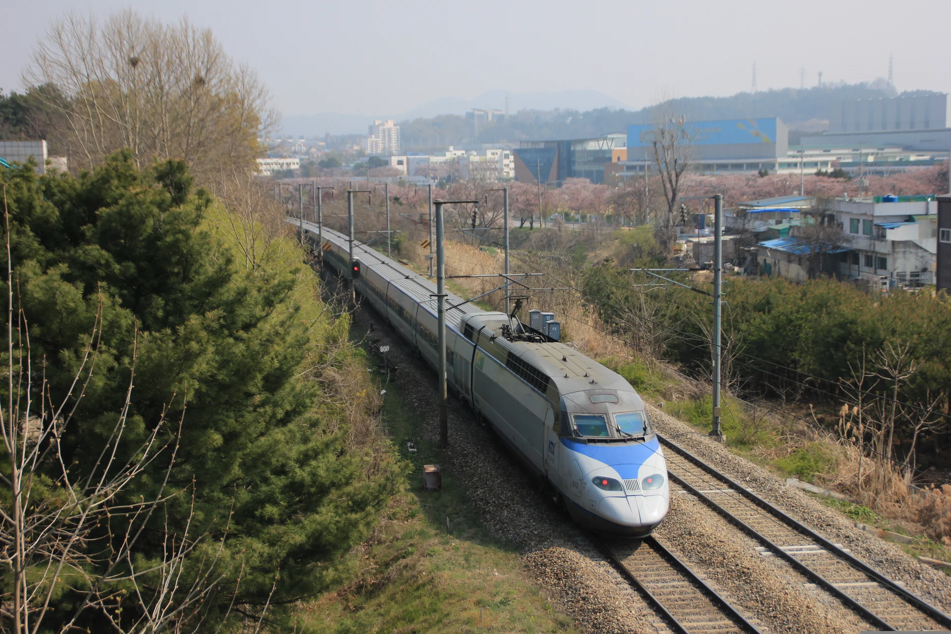 A KTX (Korea Train Express) high-speed bullet train traveling through the South Korean countryside during the spring cherry blossom season.
