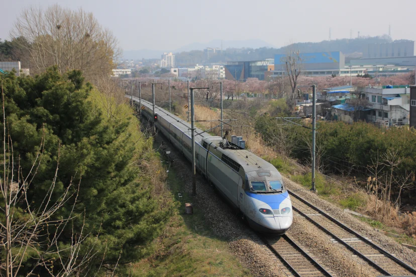 A KTX (Korea Train Express) high-speed bullet train traveling through the South Korean countryside during the spring cherry blossom season.