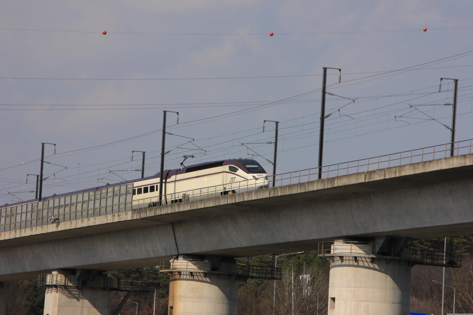 A high-speed SRT (Super Rapid Train) traveling on a concrete elevated railway bridge against a clear sky, representing modern South Korean regional rail infrastructure.