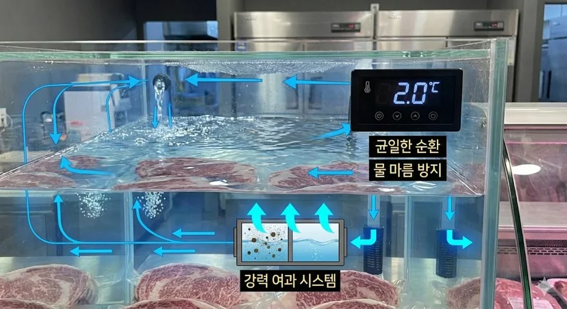 깨끗한 수질과 균일한 온도를 유지하는 한성 프리미엄 수조의 핵심 기술