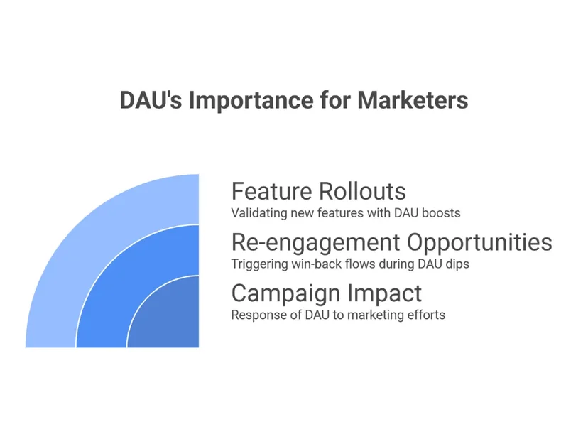 DAU's importance for marketers