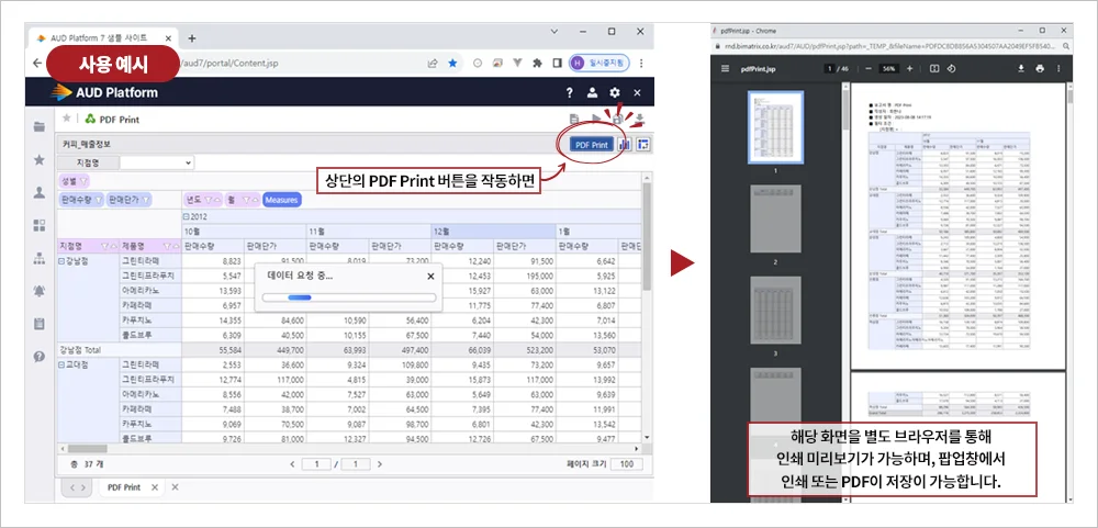 비아이매트릭스-AUD플랫폼-인쇄기능-설정