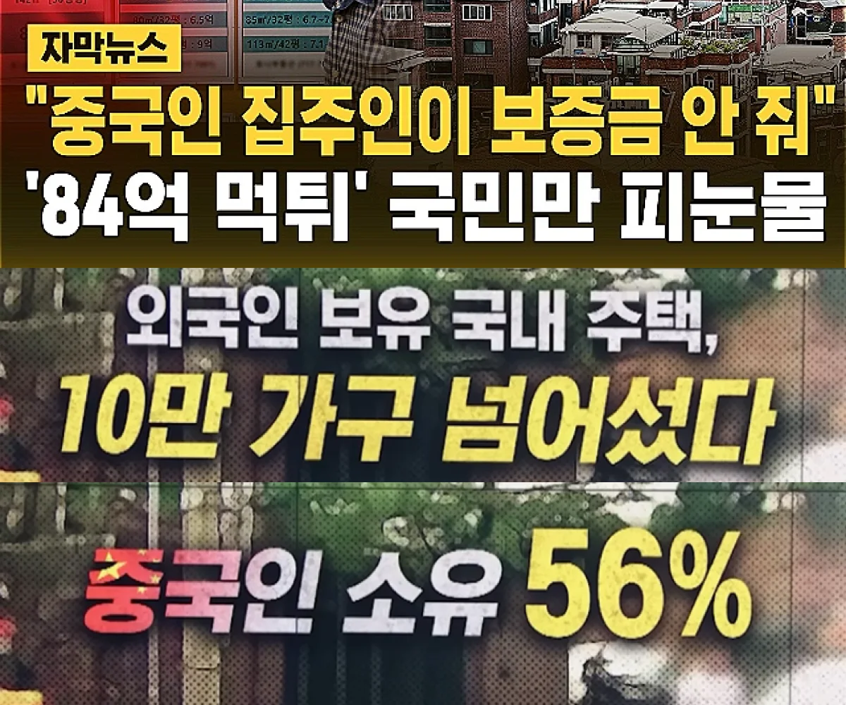 중국인 집주인 뉴스기사