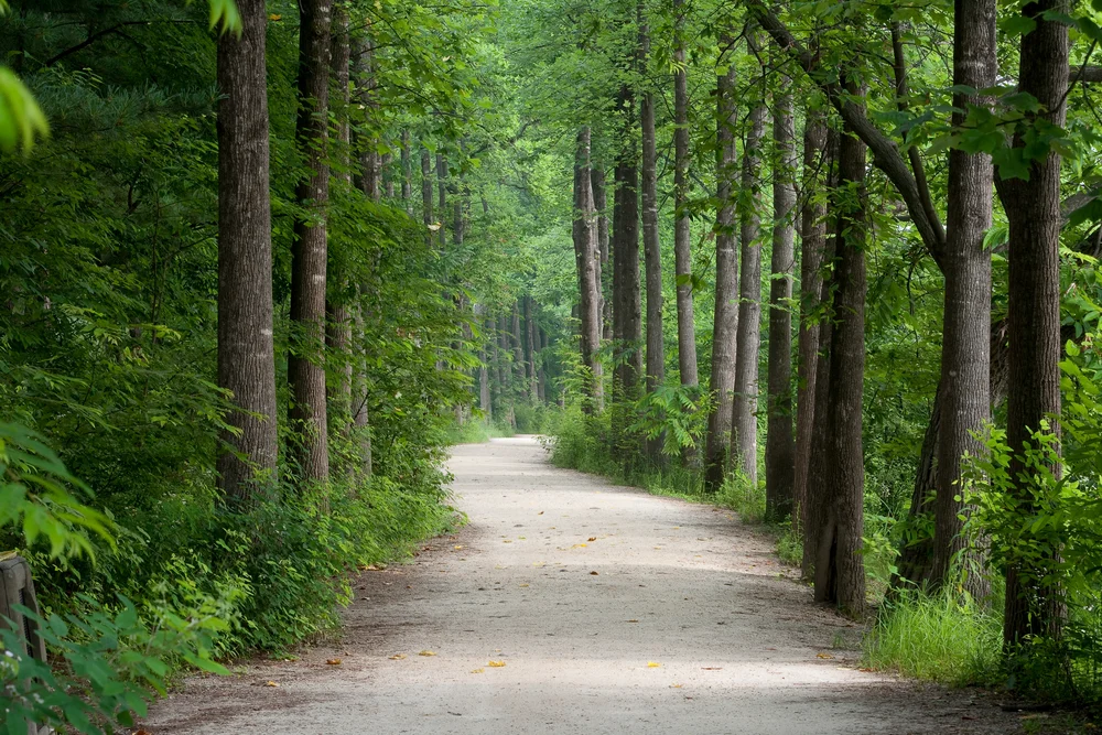 암요양병원 찾기 | 힐링오아시스