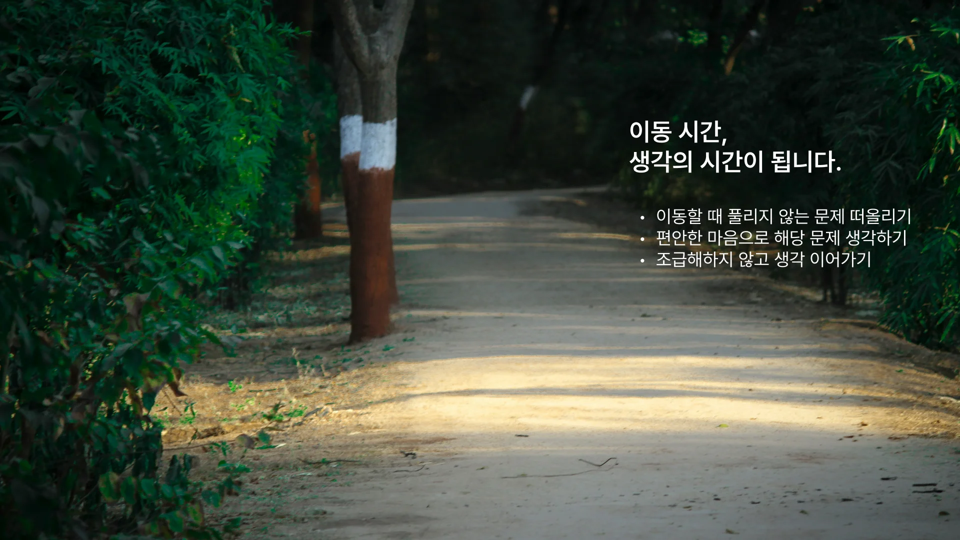 공부 잘하는 습관: 이동할 때 천천히 생각하기