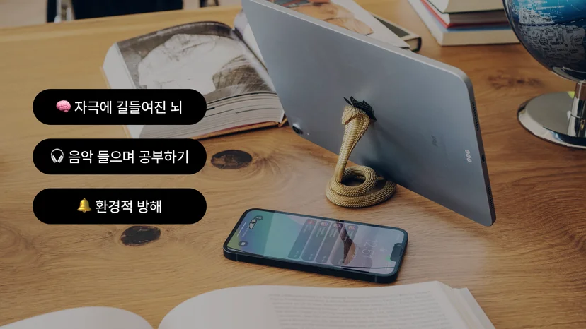 공부 집중 안되는 이유