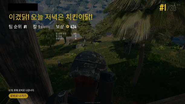 배틀그라운드 치킨